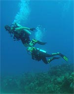 Buceo cerca de Camping Cala d'Oques